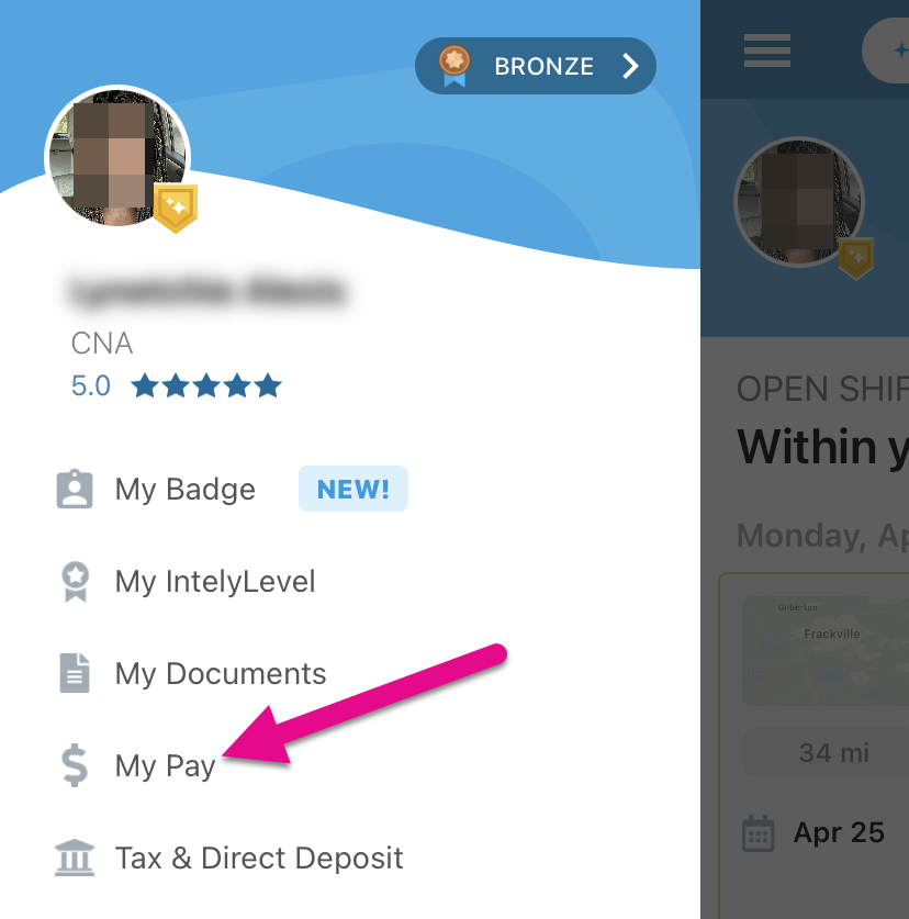 mypay2.png